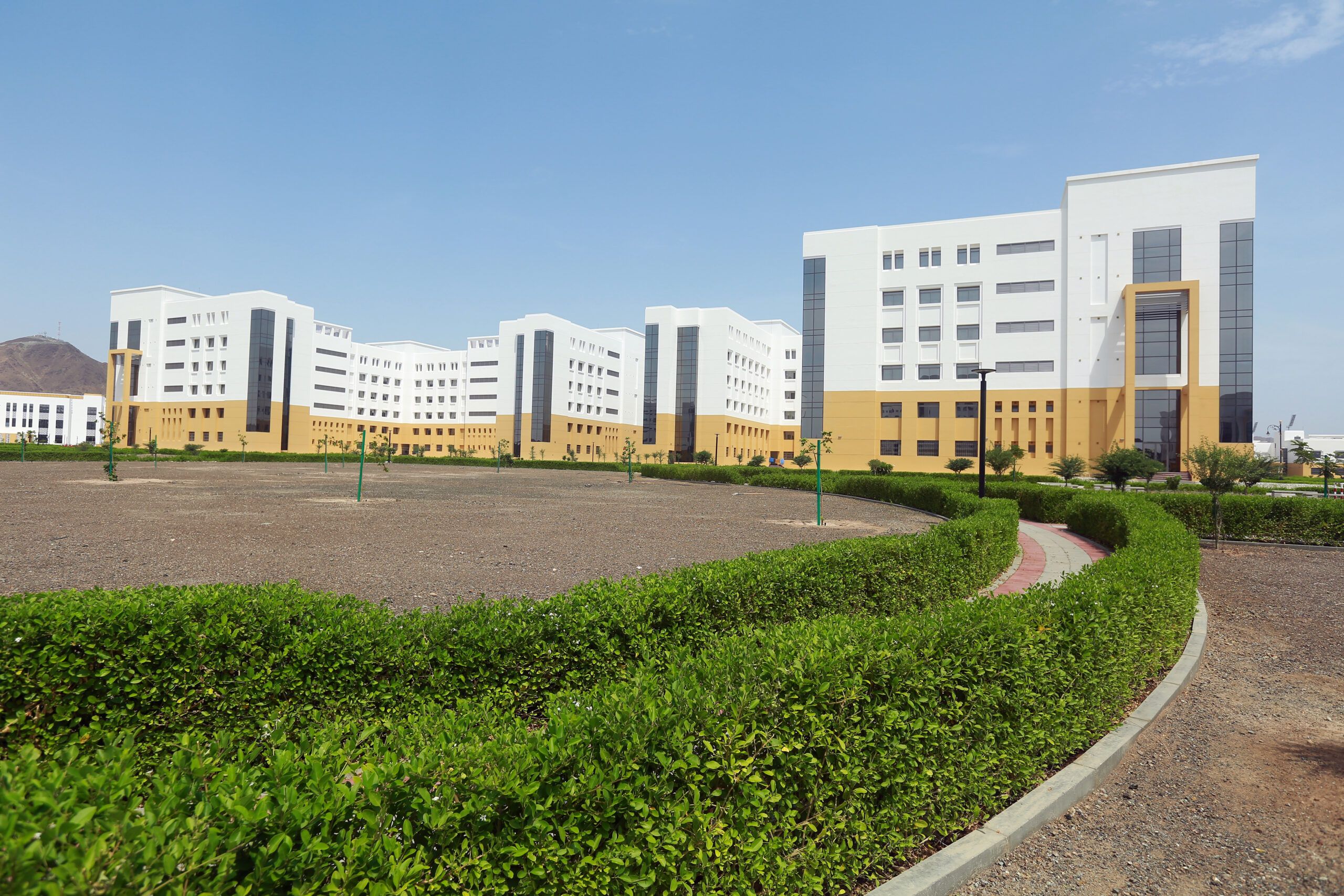 Project main image